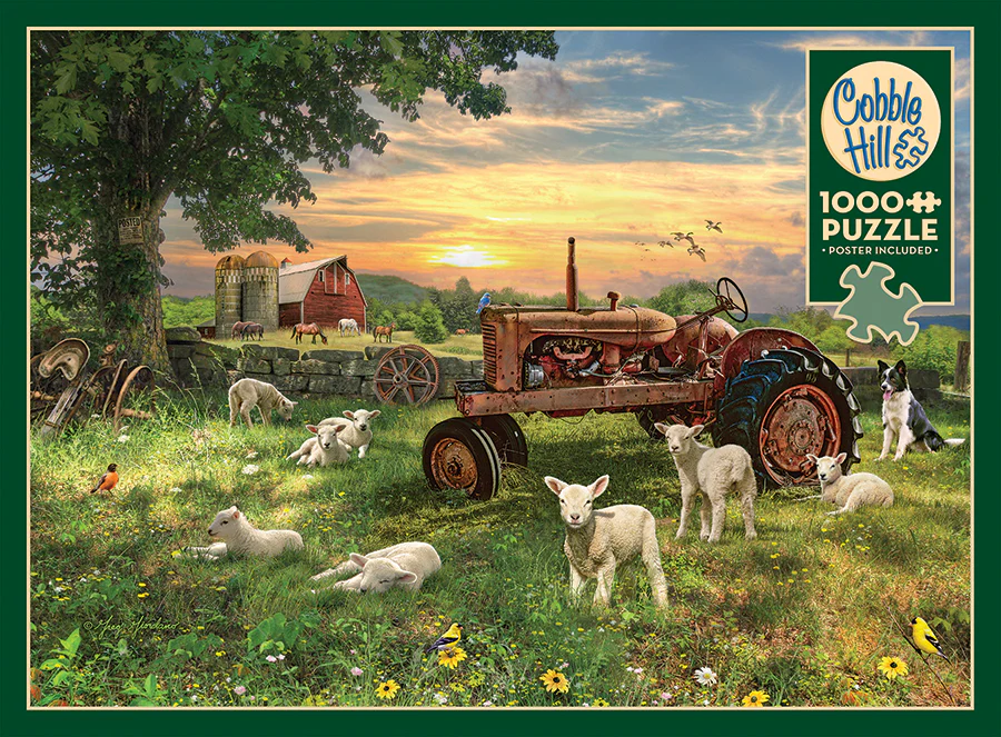 Field at Sunrise | 1000 Piece