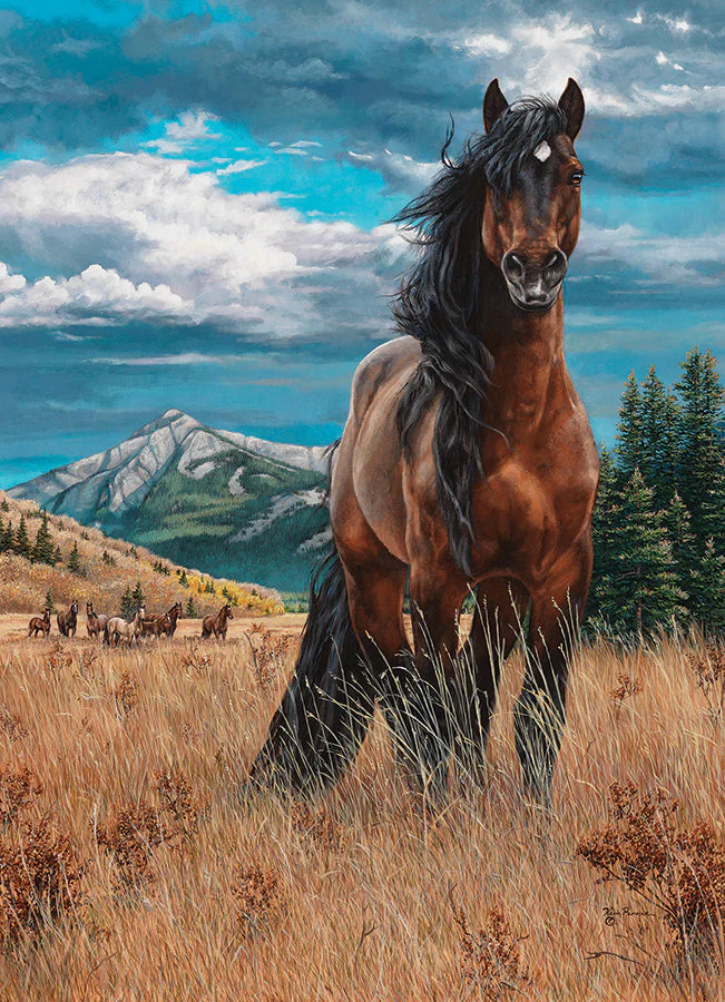 Freedom | 1000 Piece