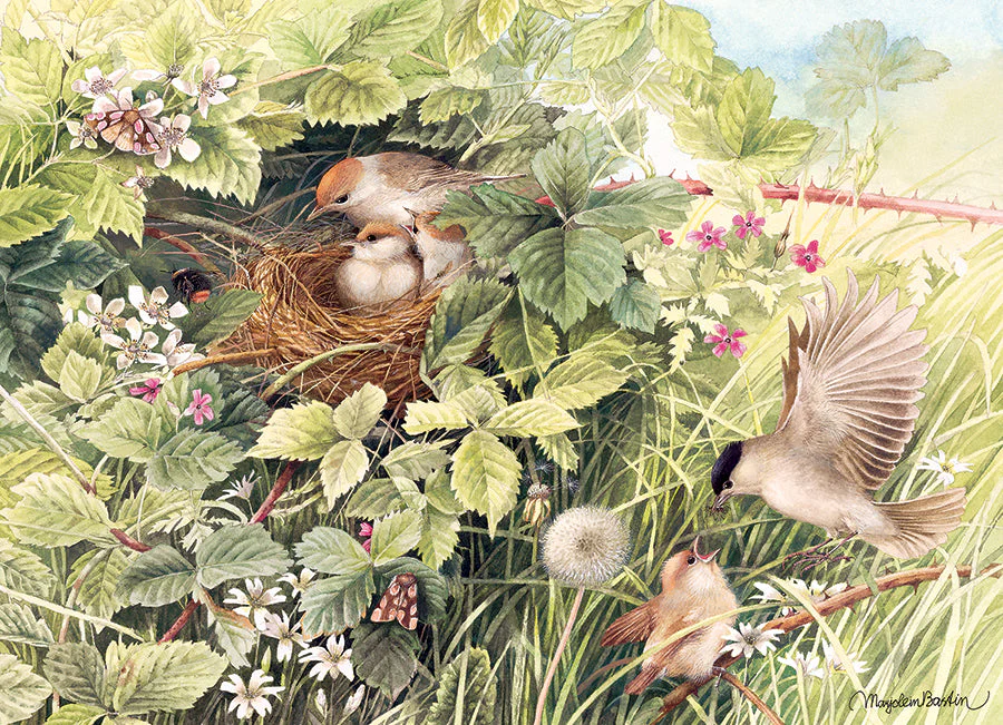 Hidden Nest | 1000 Piece