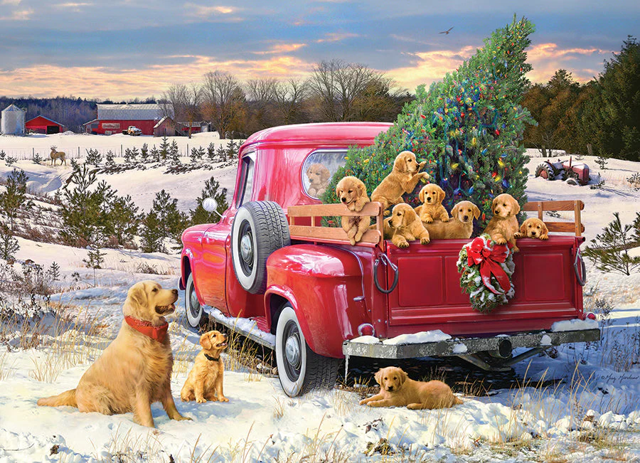 Family Outing | 1000 Piece