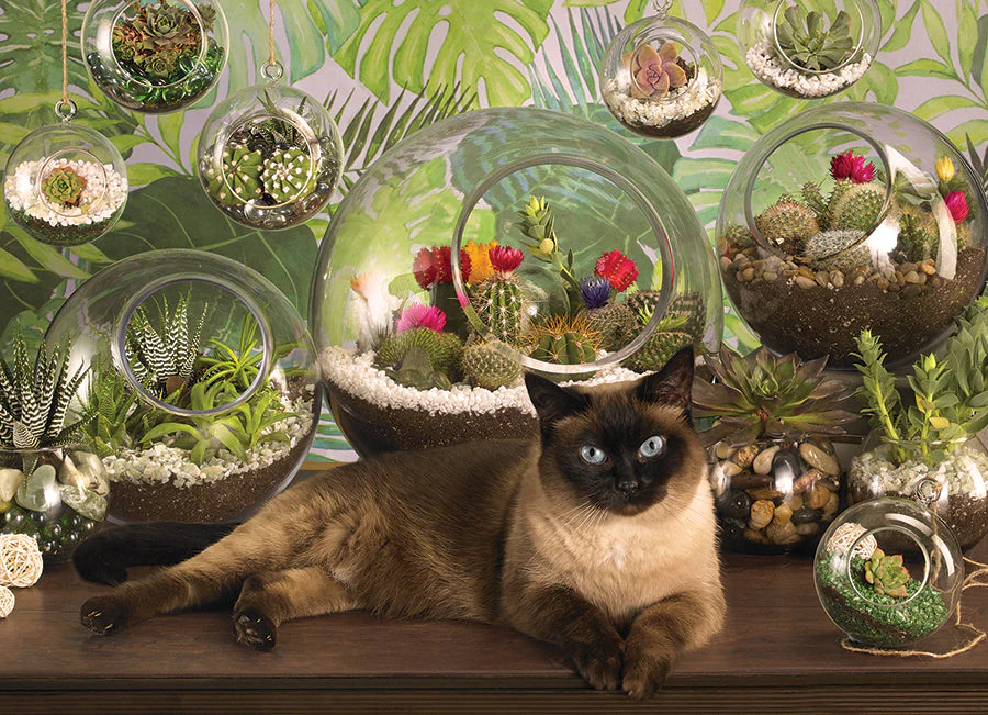Terrarium Cat | 1000 Piece