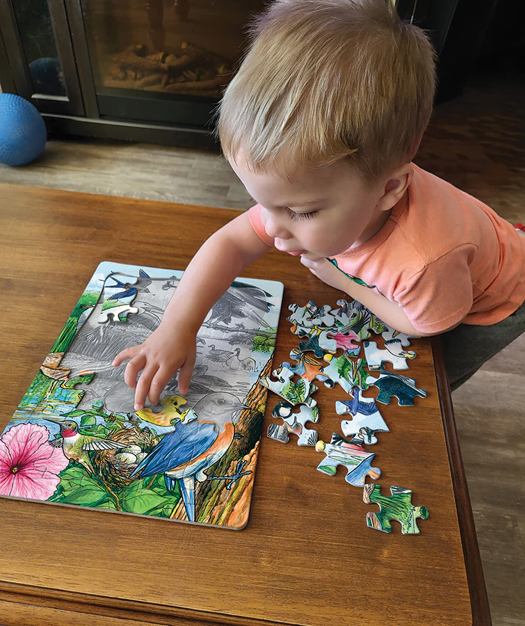 North American Birds (tray) | 35 Piece Tray