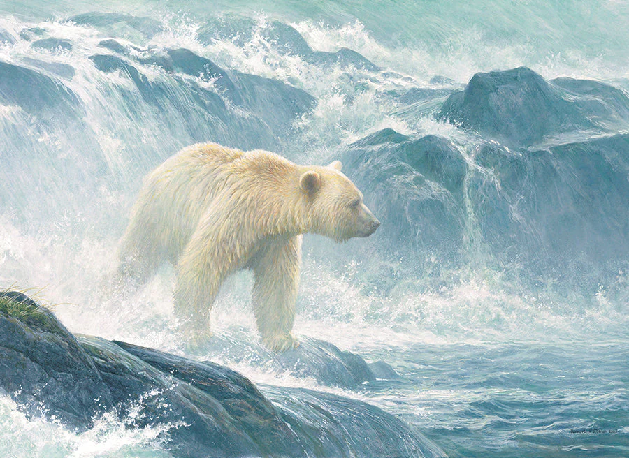 Salmon Watch - Spirit Bear | 500 Piece
