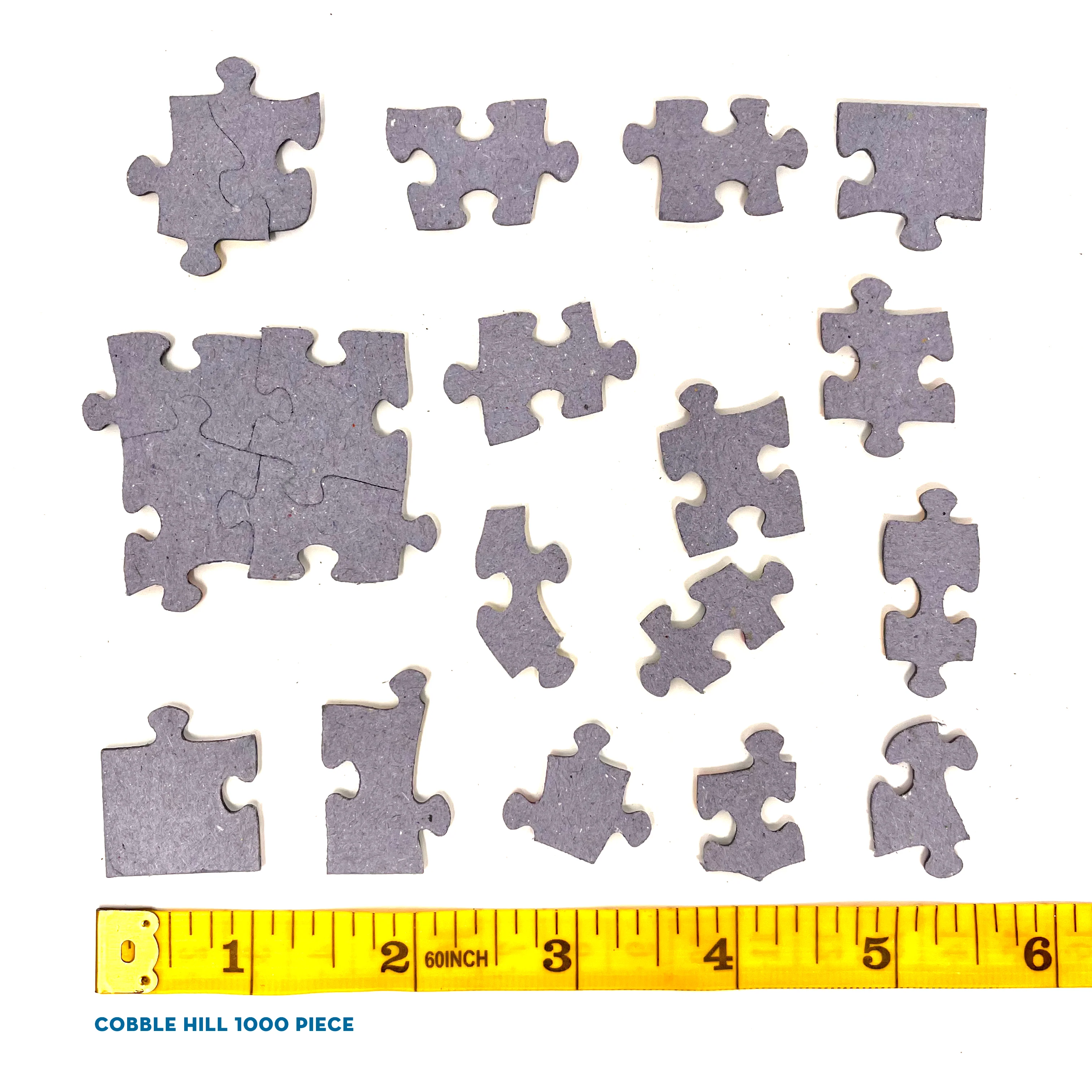 Hanukkah Cookies | 1000 Piece