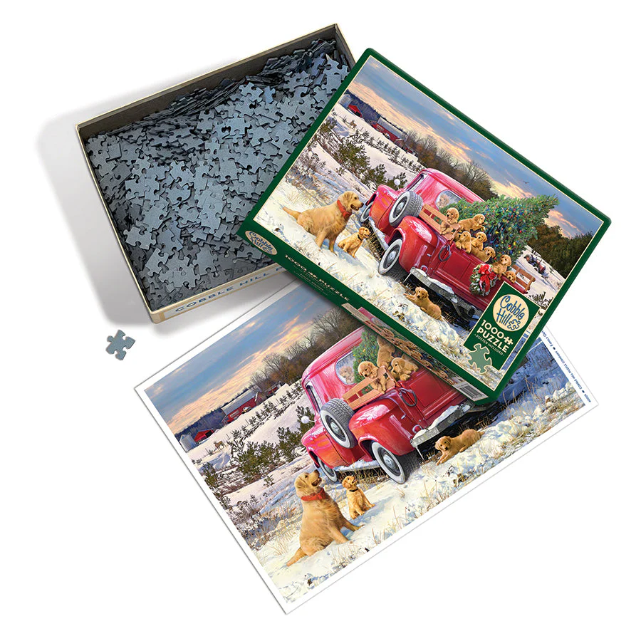 Family Outing | 1000 Piece