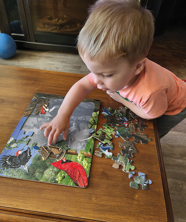 Around the Birdfeeder (tray) | 35 Piece Tray