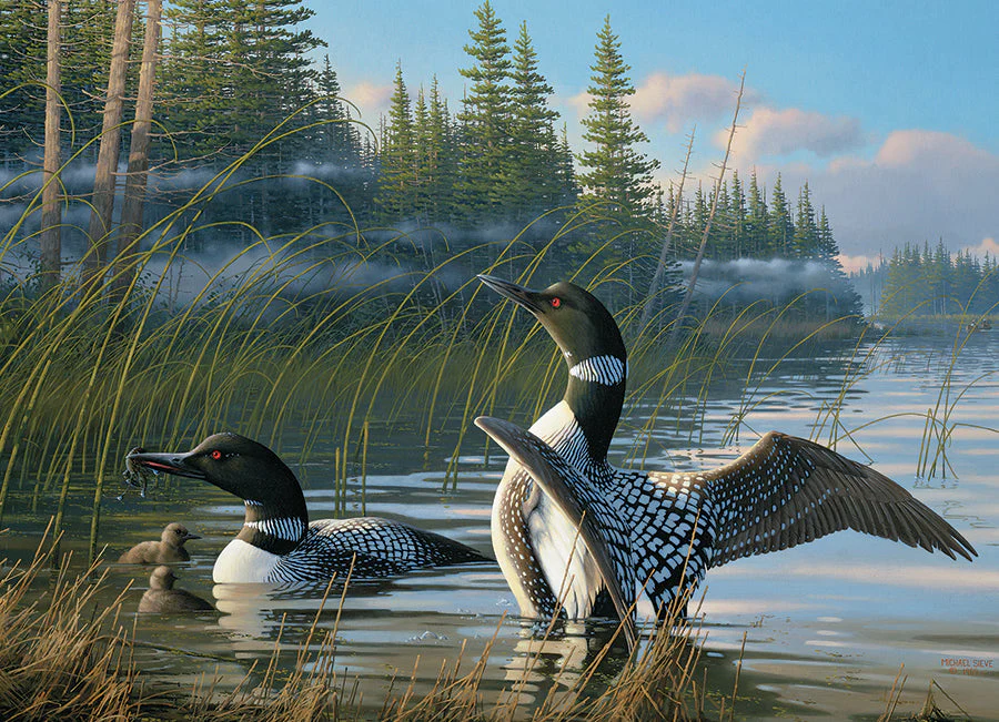 Common Loons | 1000 Piece