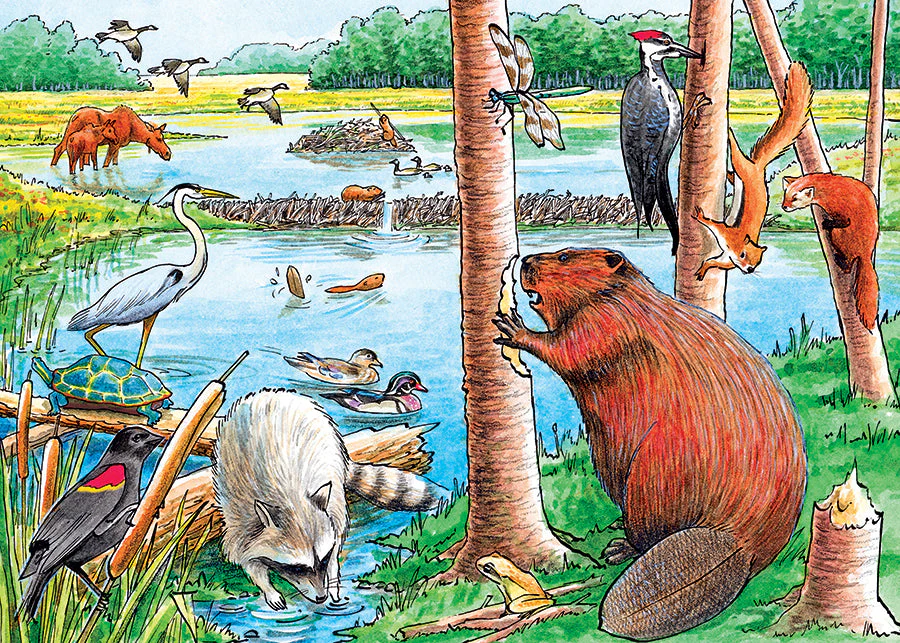The Beaver Pond (tray) | 35 Piece Tray