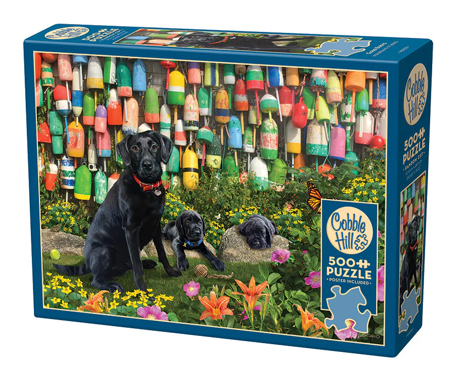 Good Buoys | 500 Piece