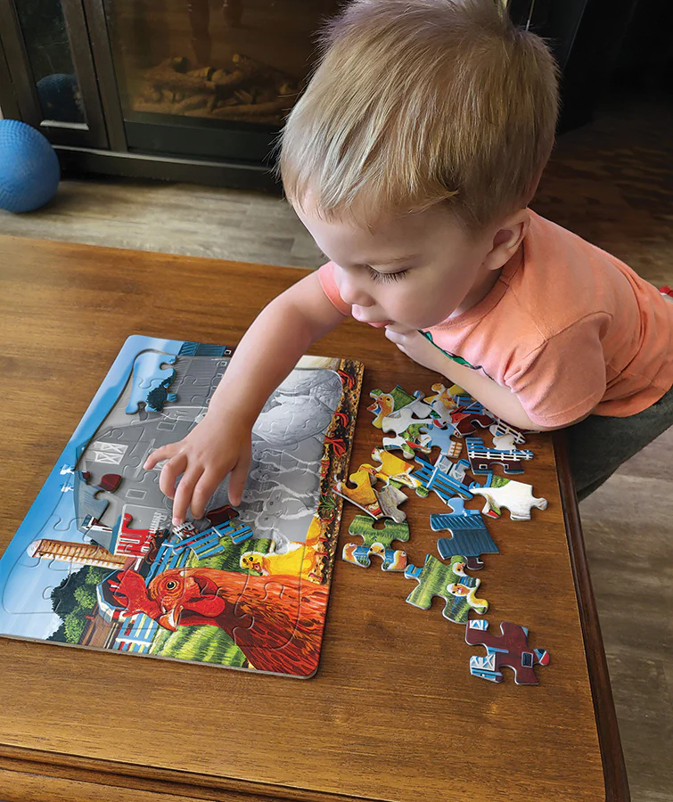 Dwight's Ducks (tray) | 35 Piece Tray