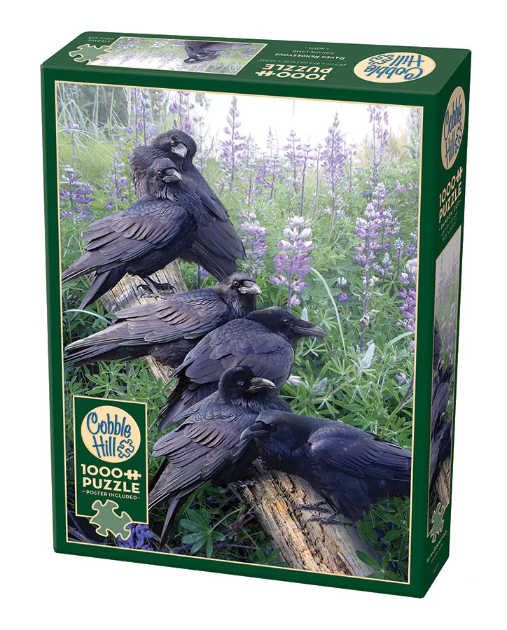 Raven Rendezvous | 1000 Piece
