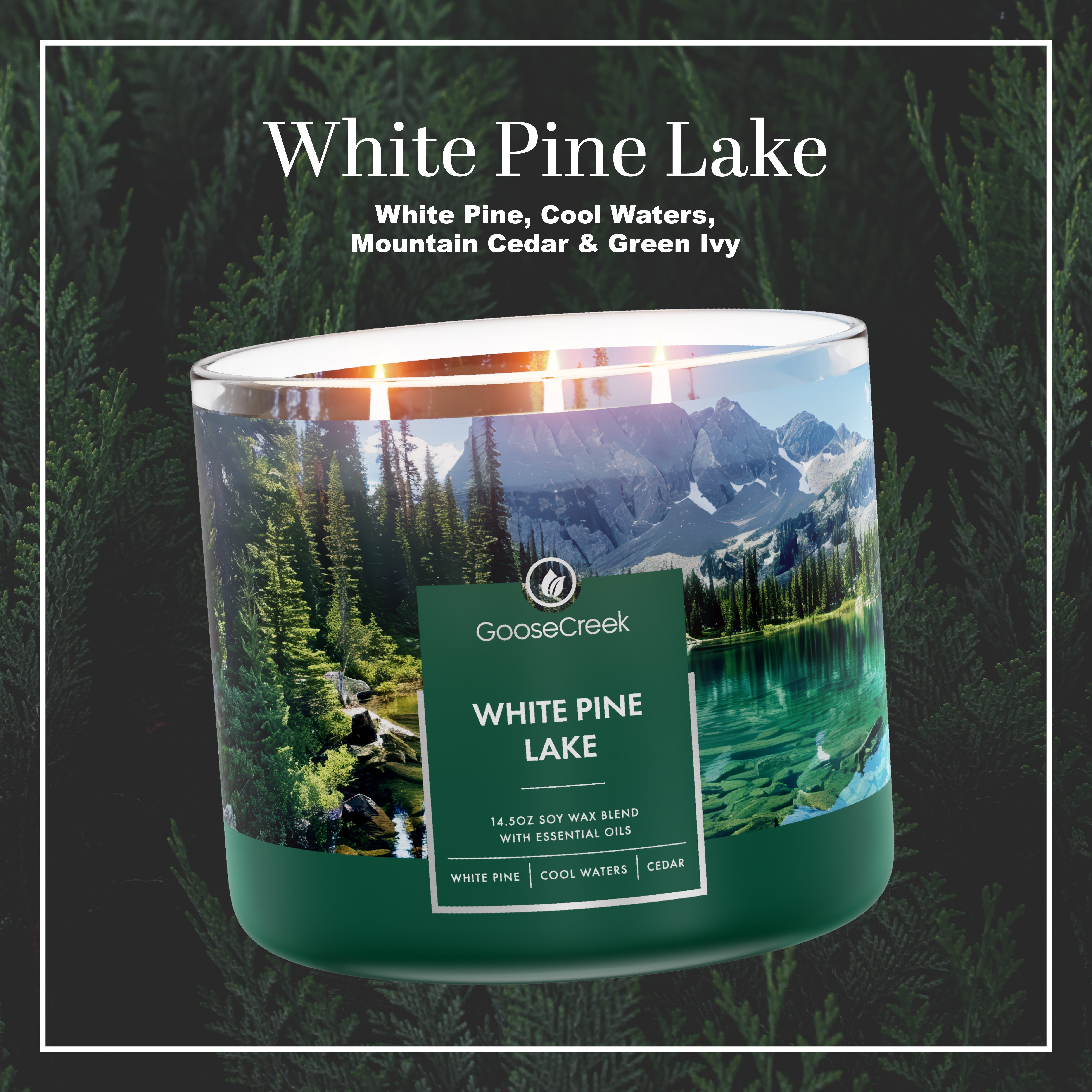 White Pine Lake Large 3-Wick Candle