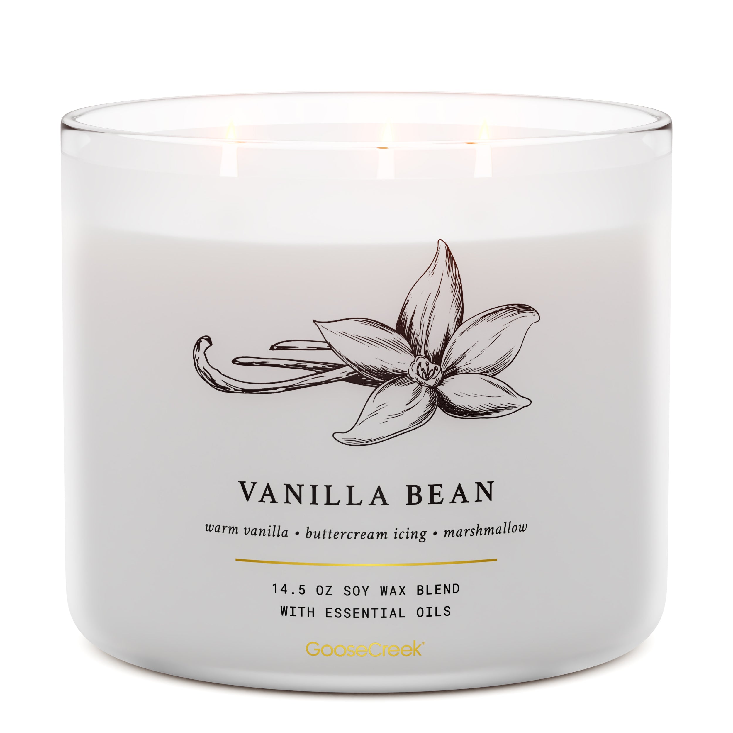 Vanilla Bean 3-Wick Candle