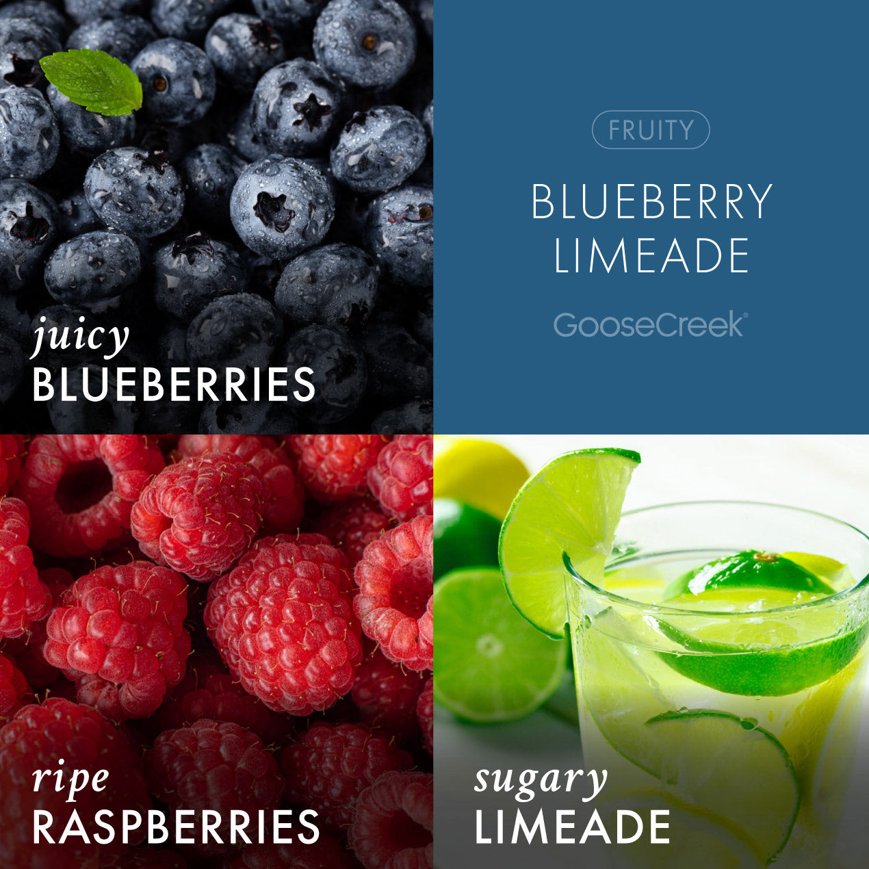 Blueberry Limeade 3-Wick Candle