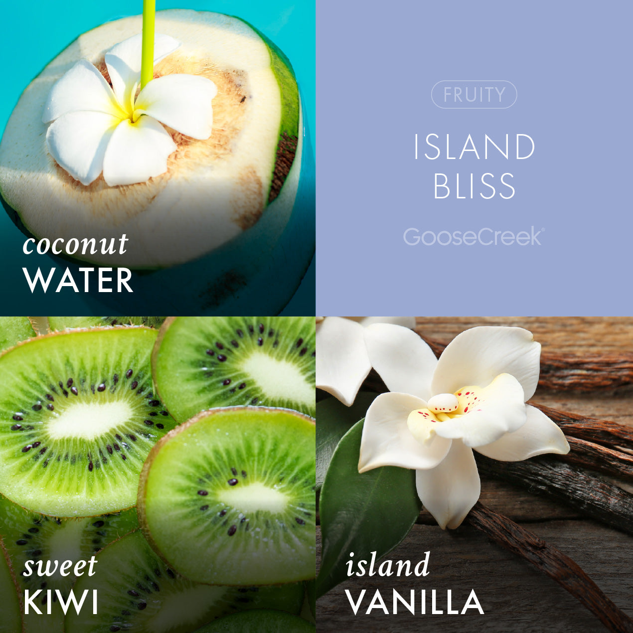 Island Bliss 3-Wick Candle