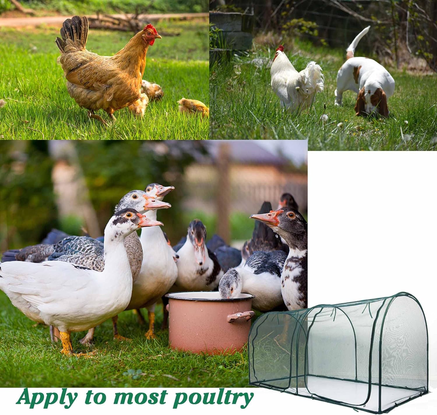 Portable Chicken Run Hen Coop,Walk-in Poultry House,Outdoor Gardening Net,Easy-up Small Animals Enclosure for Protecting Pet and Plant with Metal Frames and 10 Stakes in Backyard and Farm