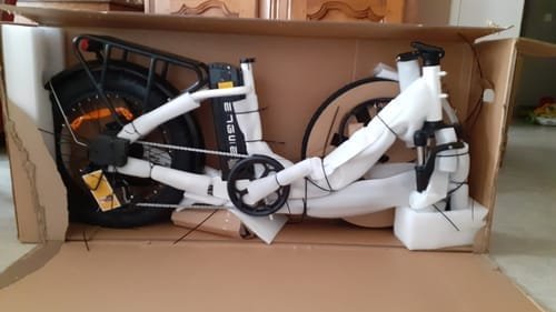 Engwe L20 SE 250W 20 Foldable Electric Trekking Bike15.6Ah Step-through E-bike