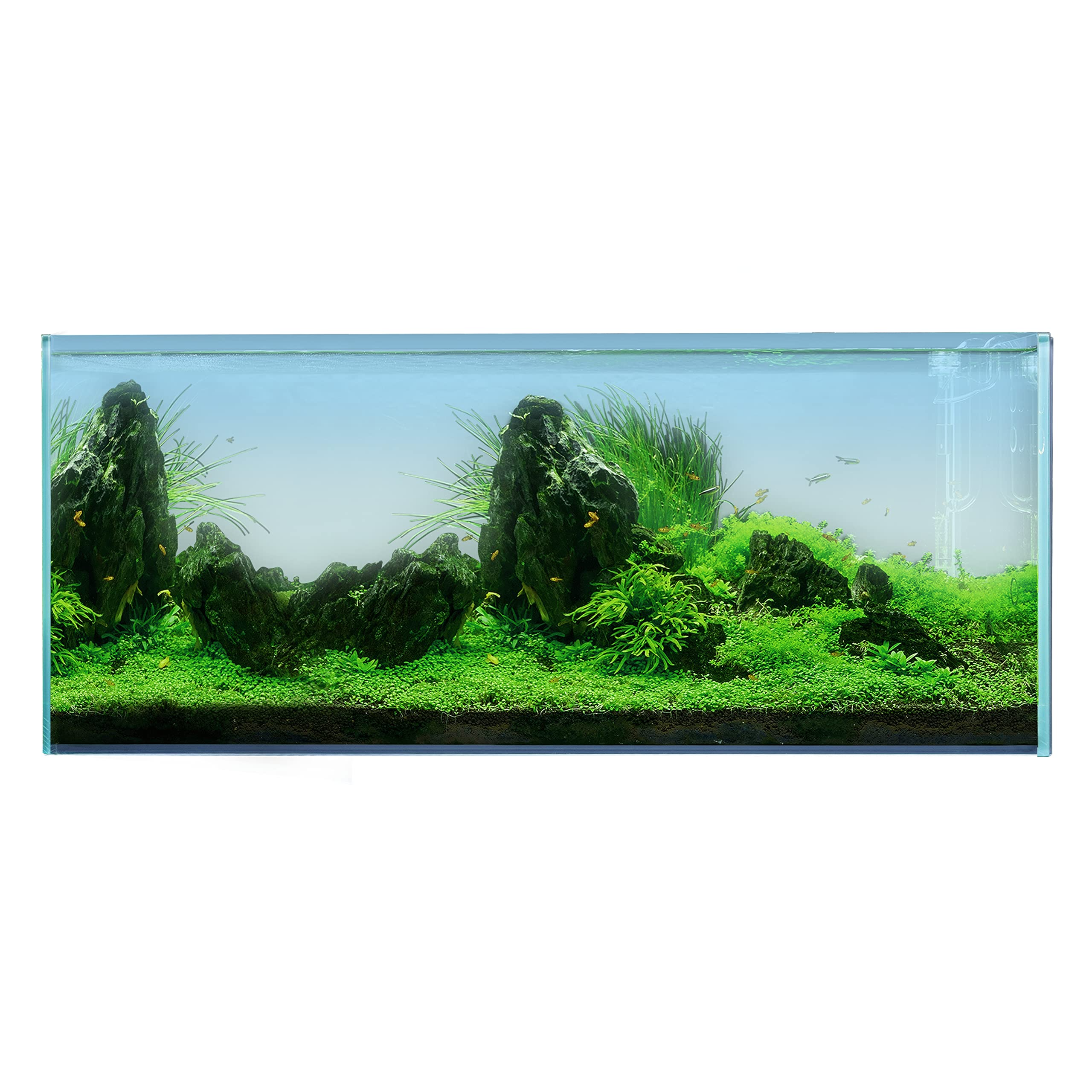 120P 72.2 Gallon Rimless Low Iron Aquarium Tank, 47.2