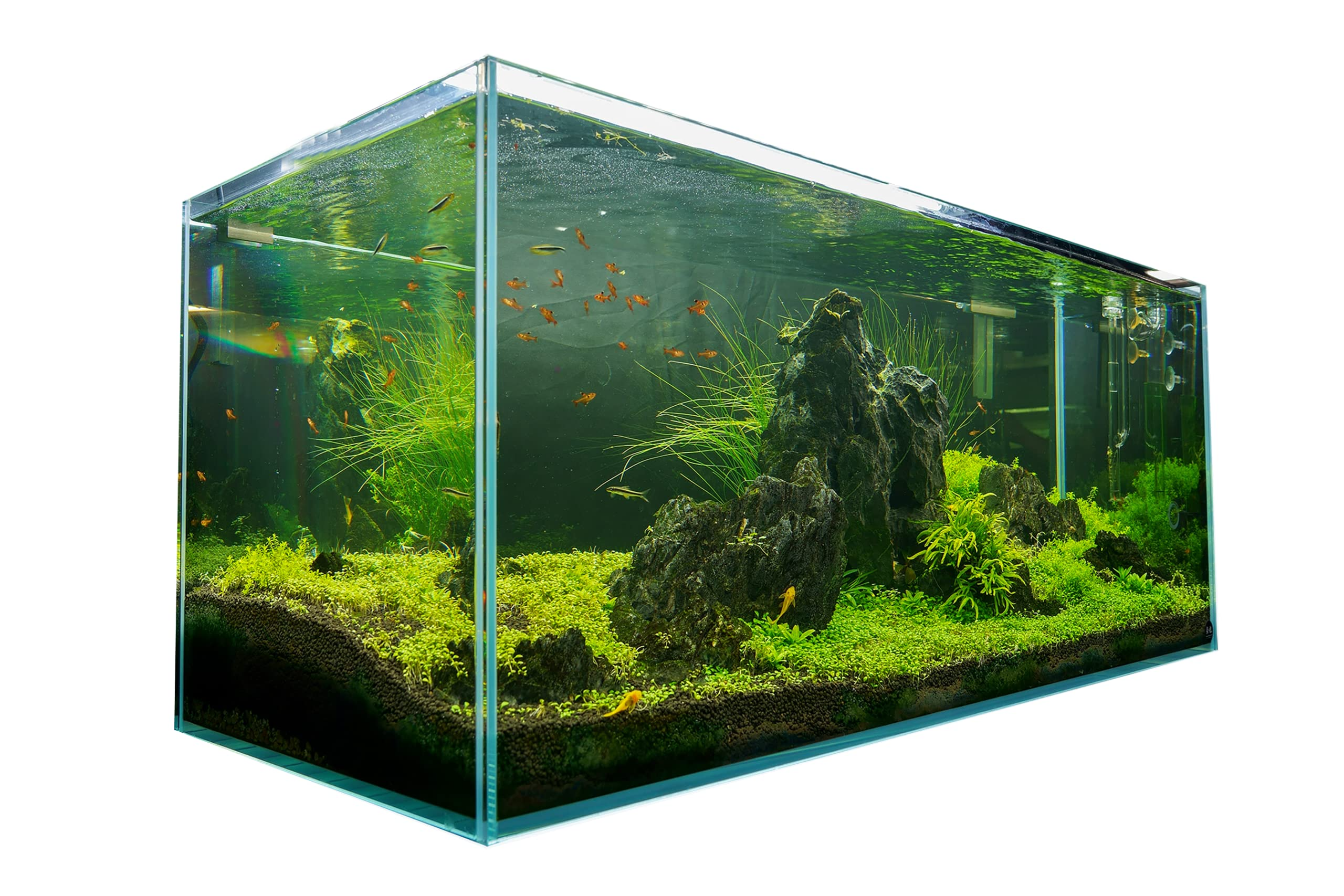 120P 72.2 Gallon Rimless Low Iron Aquarium Tank, 47.2