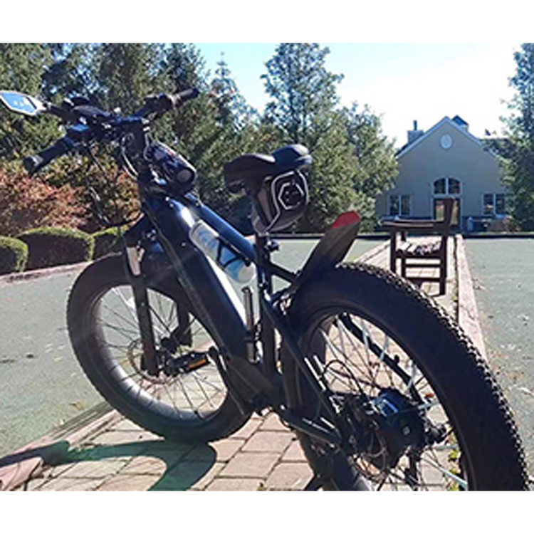 750W electric bicycle