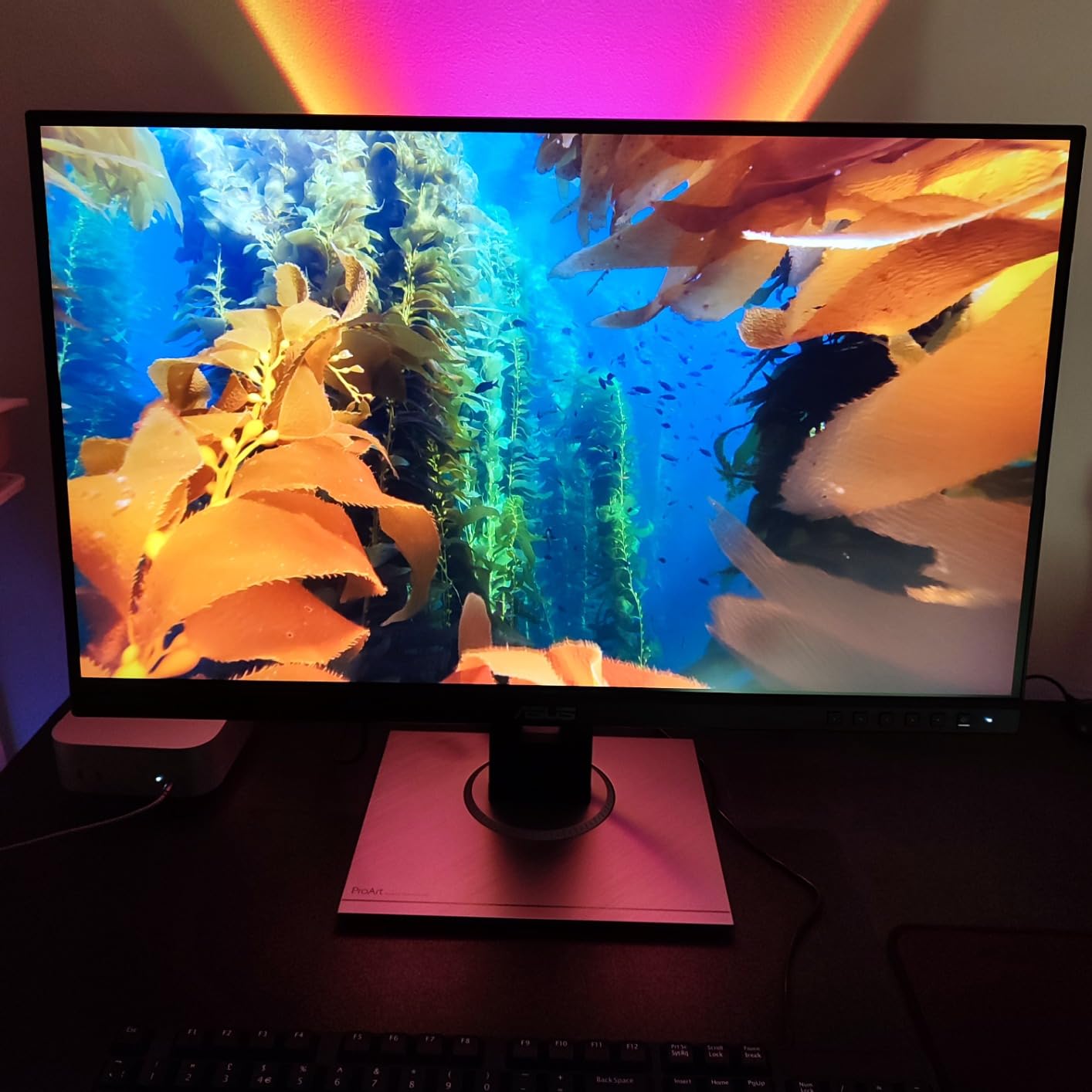 ASUS ProArt Display PA279CV Professional Monitor - 27