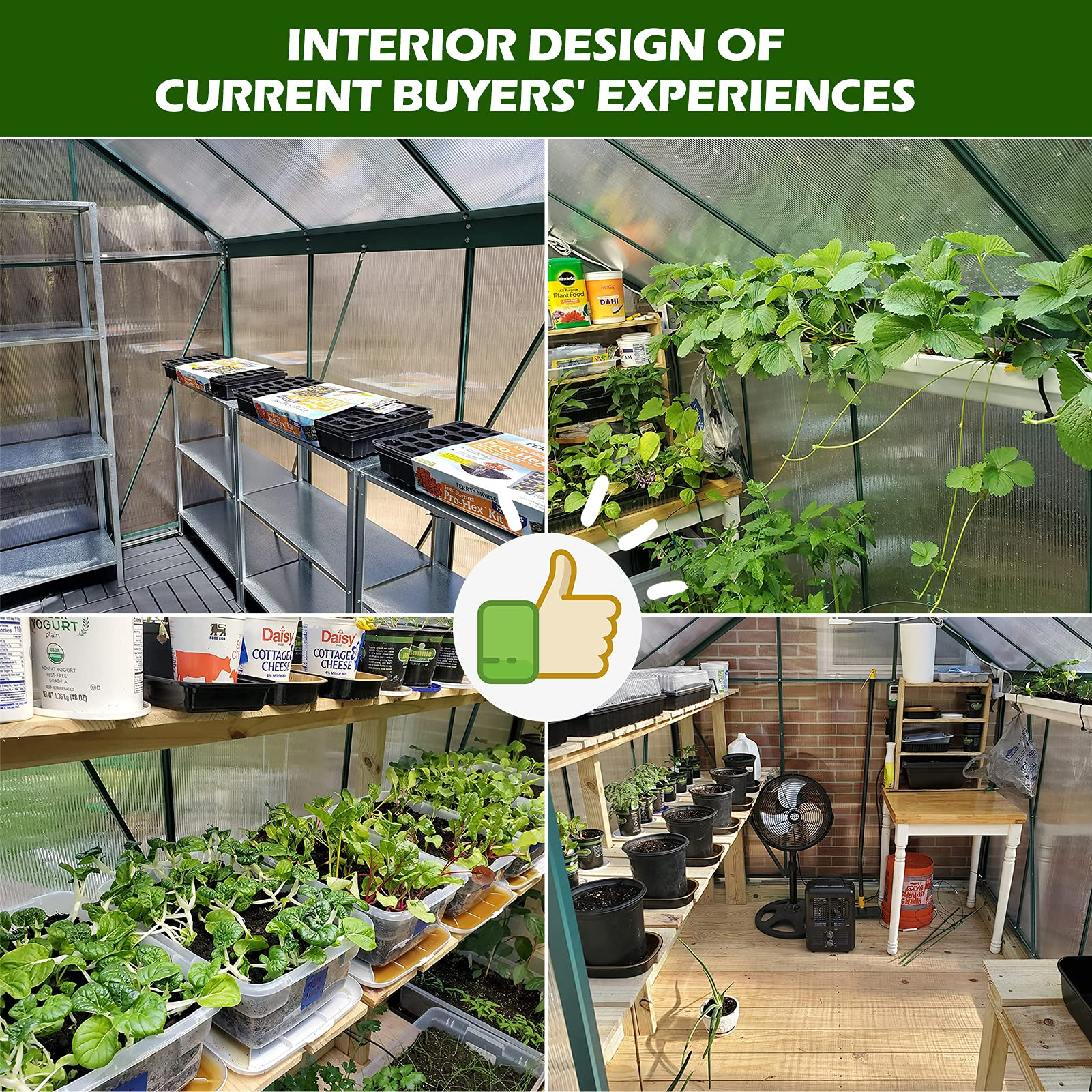 6x8 Hobby Greenhouse, Polycarbonate Aluminum Green House with Window, Heavy Duty Greenhouses Kit