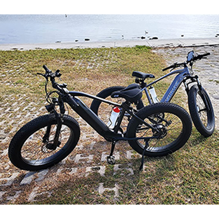 750W electric bicycle