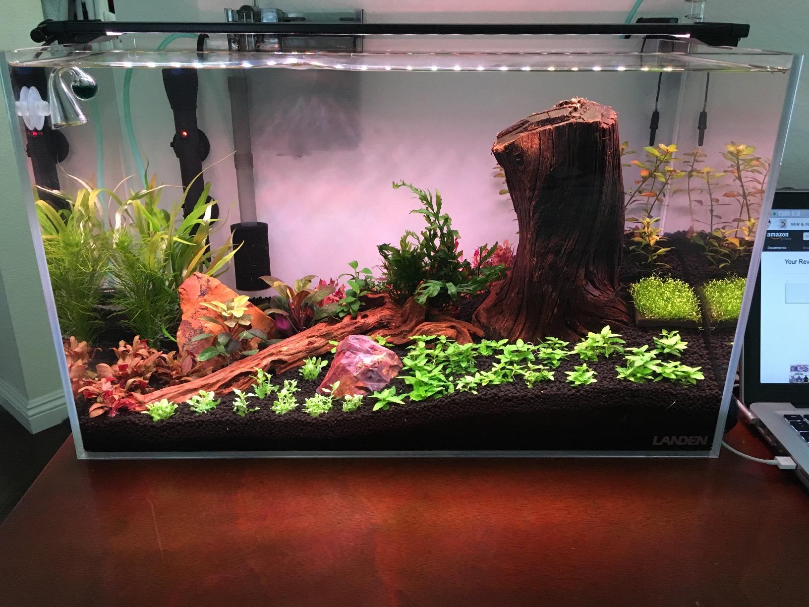 120P 72.2 Gallon Rimless Low Iron Aquarium Tank, 47.2