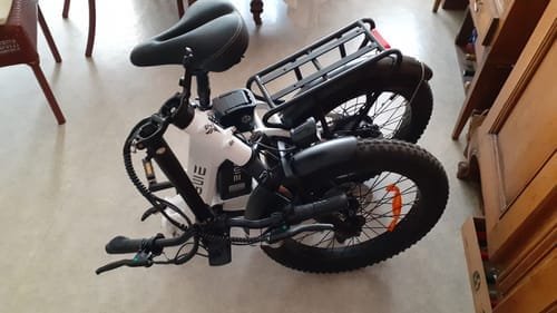 Engwe L20 SE 250W 20 Foldable Electric Trekking Bike15.6Ah Step-through E-bike