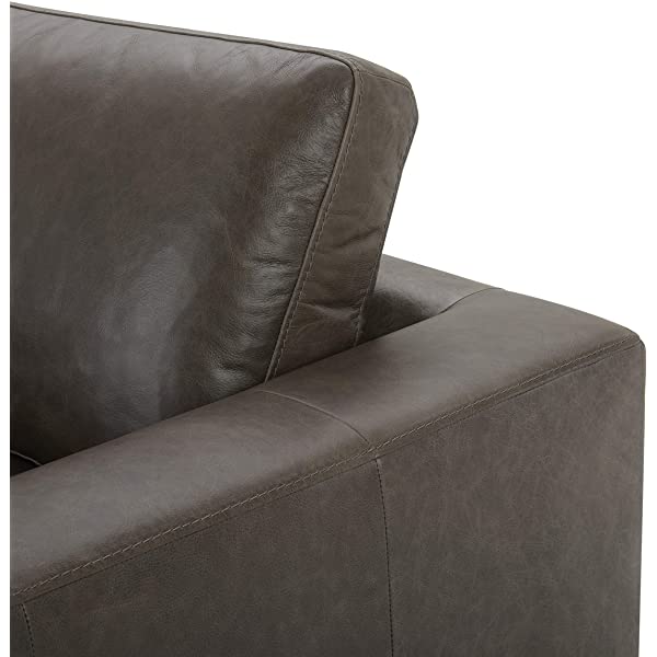 Amazon Brand - Stone & Beam Westview Extra-Deep Down-Filled Sofa Couch, 89