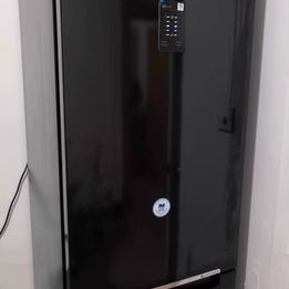 Samsung ultra-thin two-door household frequency conversion frost-free air-cooled