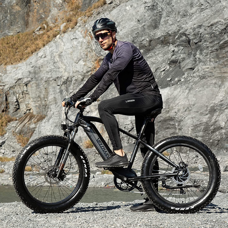 750W electric bicycle