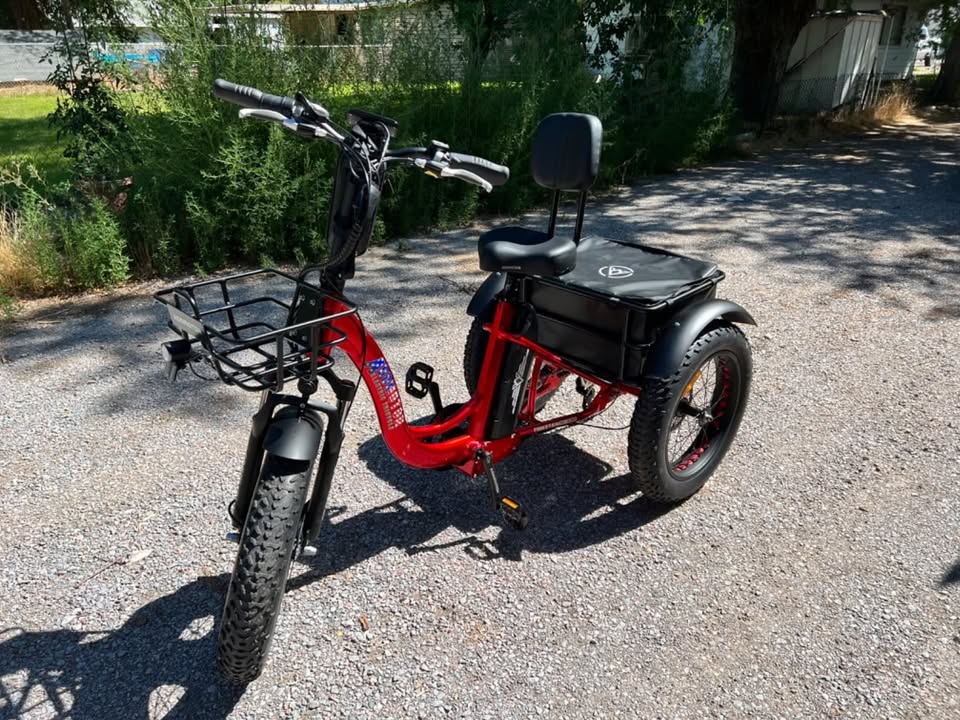 Addmotor Electric Trike for Adults, 85MI Long Range, 450 lbs,M330 II Electric