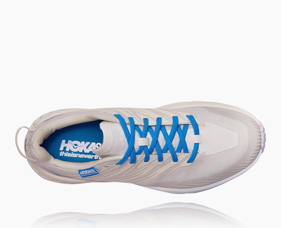 All Gender Hoka X Tint Speedgoat 4