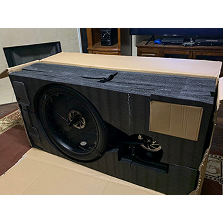 750W electric bicycle