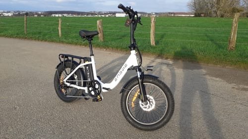 Engwe L20 SE 250W 20 Foldable Electric Trekking Bike15.6Ah Step-through E-bike
