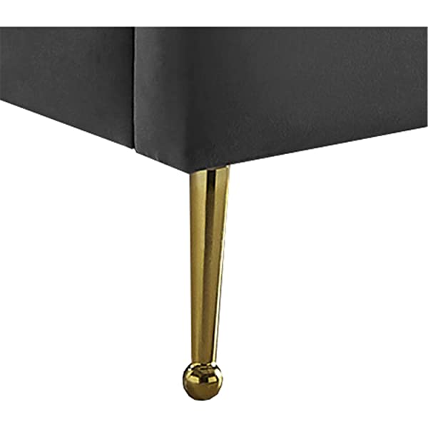 Meridian Furniture Lily Collection Modern | Contemporary Velvet Upholstered Bed with Deep Channel Tufting and Custom Gold Steel Legs, Queen, Cream Cream Queen