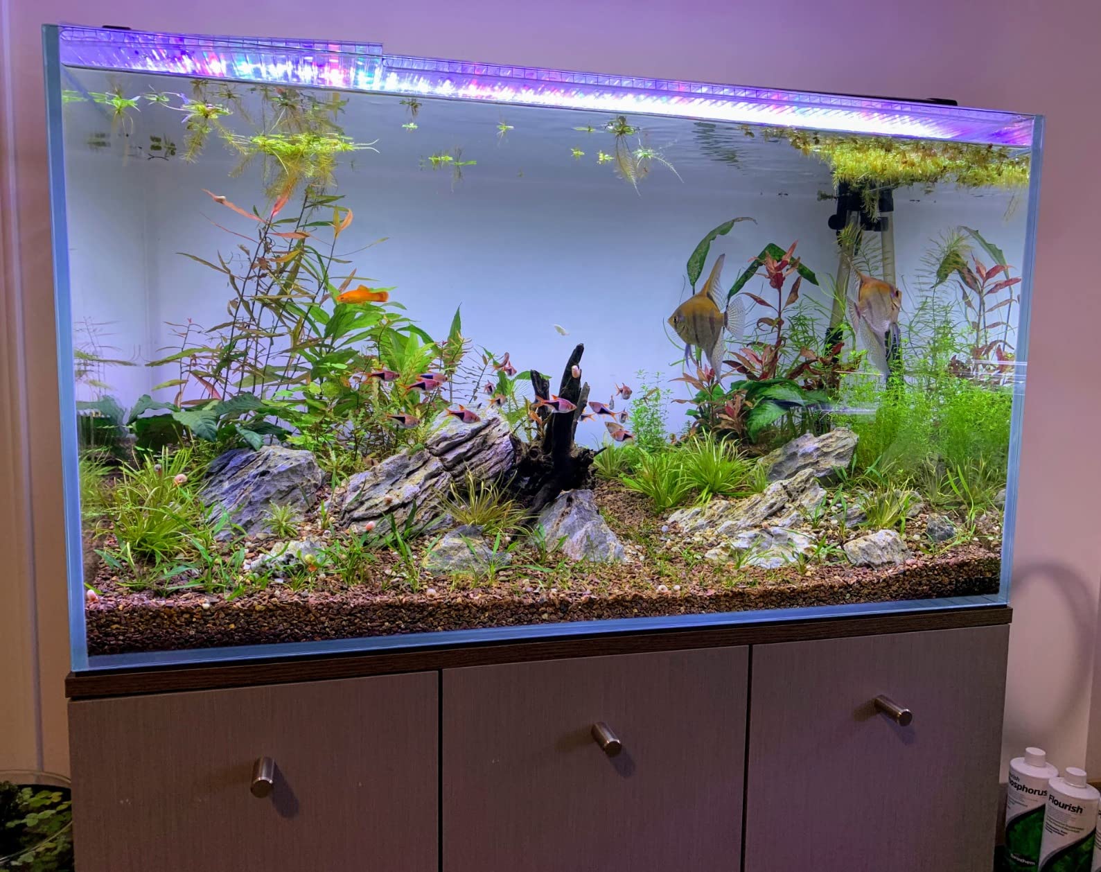 120P 72.2 Gallon Rimless Low Iron Aquarium Tank, 47.2