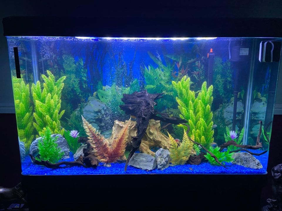 Large Fish Tank Aquarium 4ft 300L Marine Tropical Saltwater Freshwater