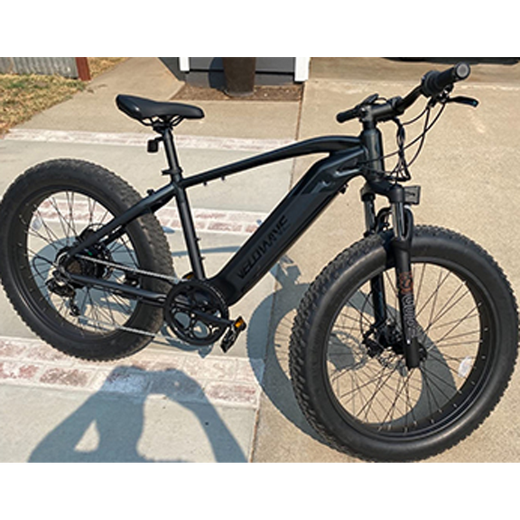750W electric bicycle