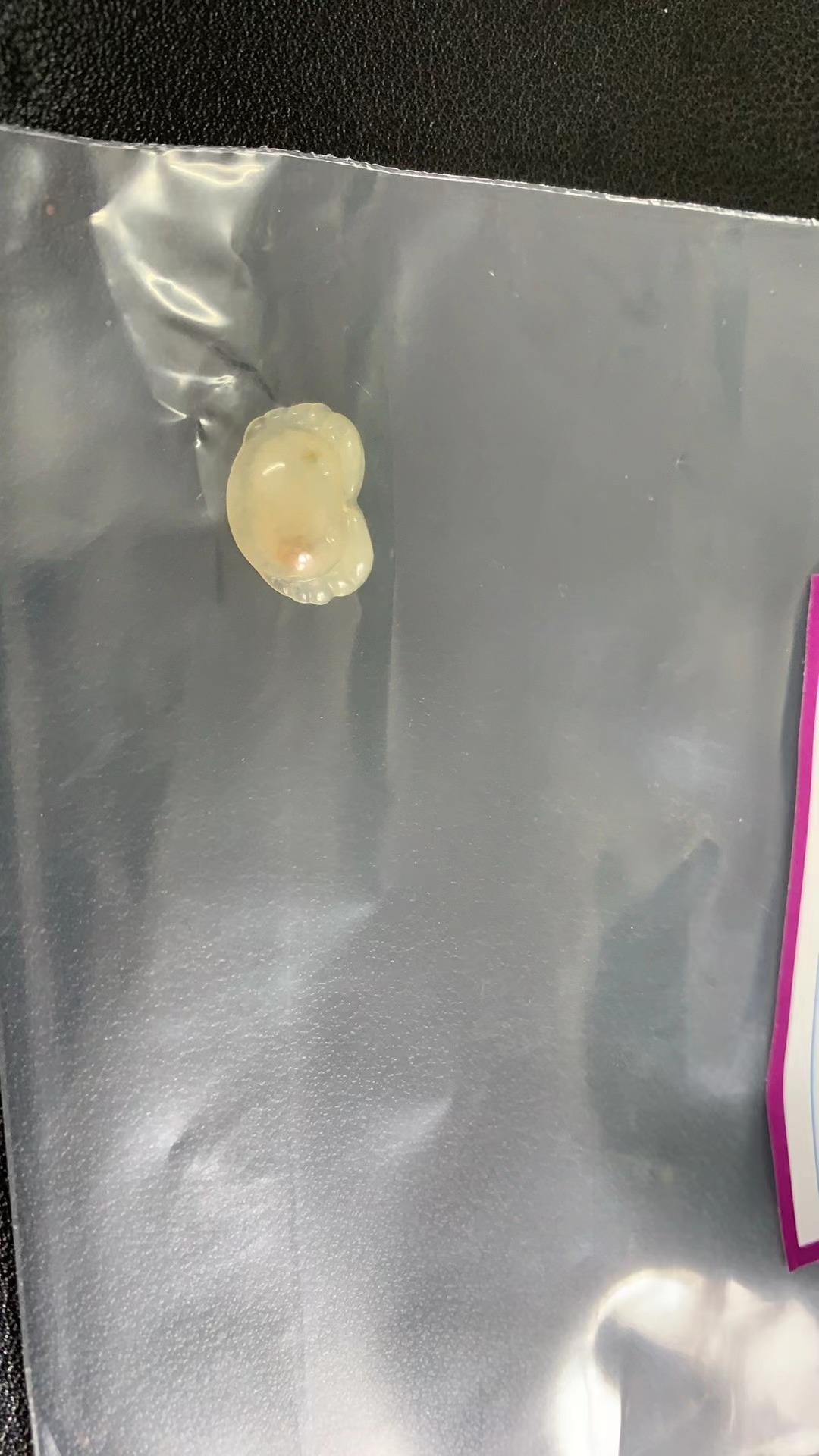 elephantjewelry0 hea 12 20251127-330