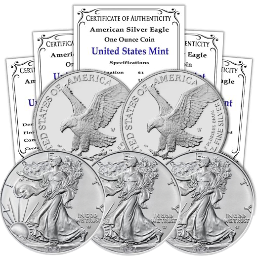 💥Just $2.99 Today American Eagle 2024 One Ounce Silver Proof Coin