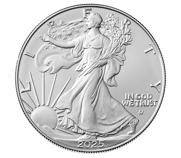 🔥$1.99 Today Only American Eagle  One Ounce Silver Proof Coin