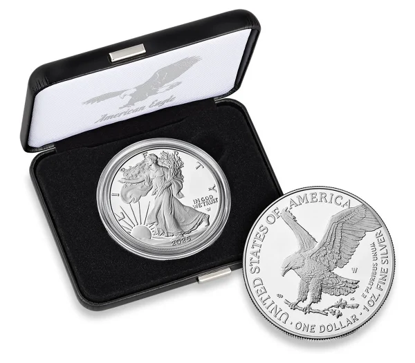 🔥$1.99 Today Only American Eagle  One Ounce Silver Proof Coin