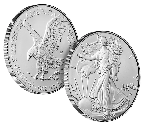 🔥$1.99 Today Only American Eagle  One Ounce Silver Proof Coin