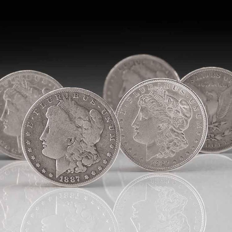 The Complete Collection of Morgan Silver Dollars 1878-1905