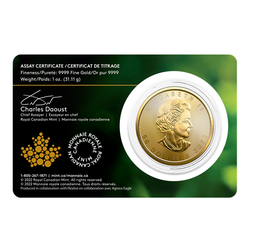 2023 1 oz Canadian Gold Maple Leaf Coin