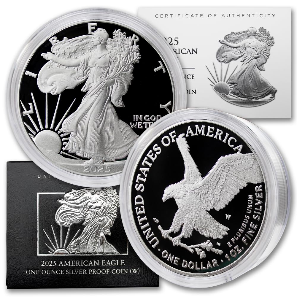 🔥$2.99 Today Only American Eagle 2025 One Ounce Silver Proof Coin