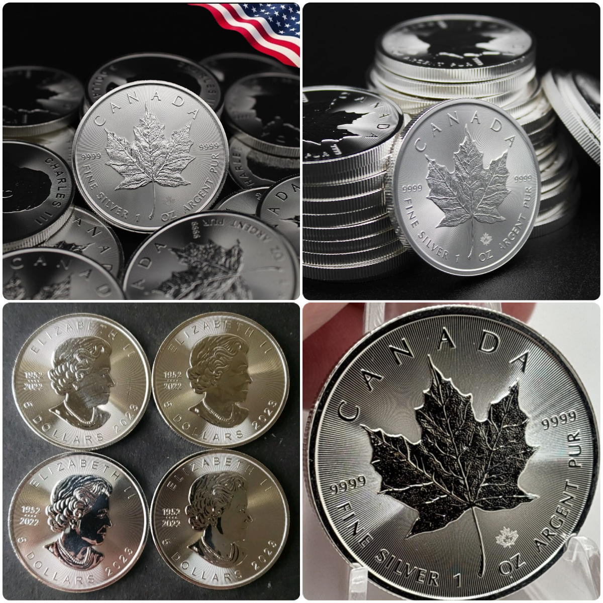 🍁 Final Edition! 💰 65% OFF Canadian Maple Leaf Coin