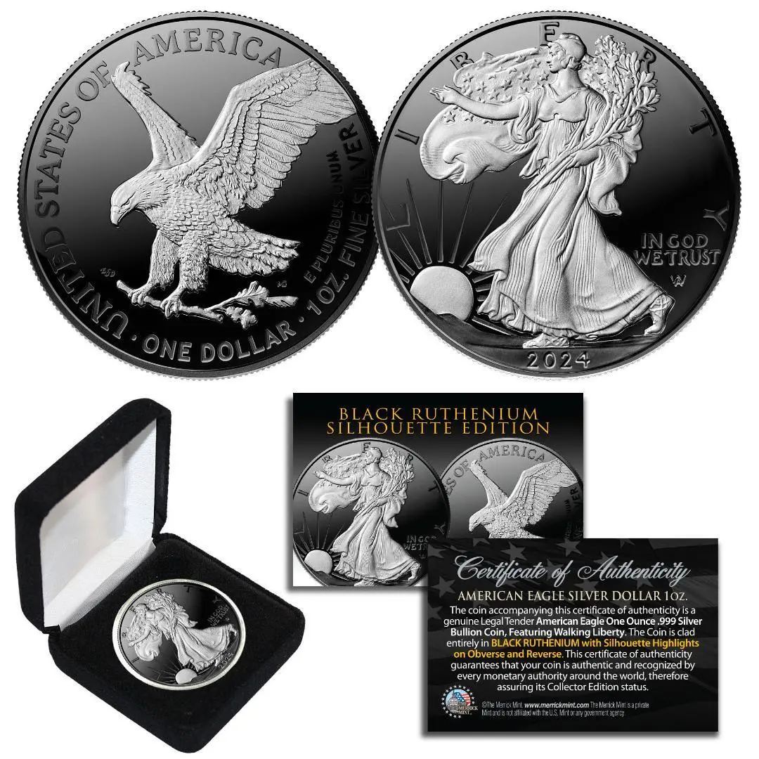 2024 Silver American Eagle Coin with Deluxe Box—1 Troy Oz